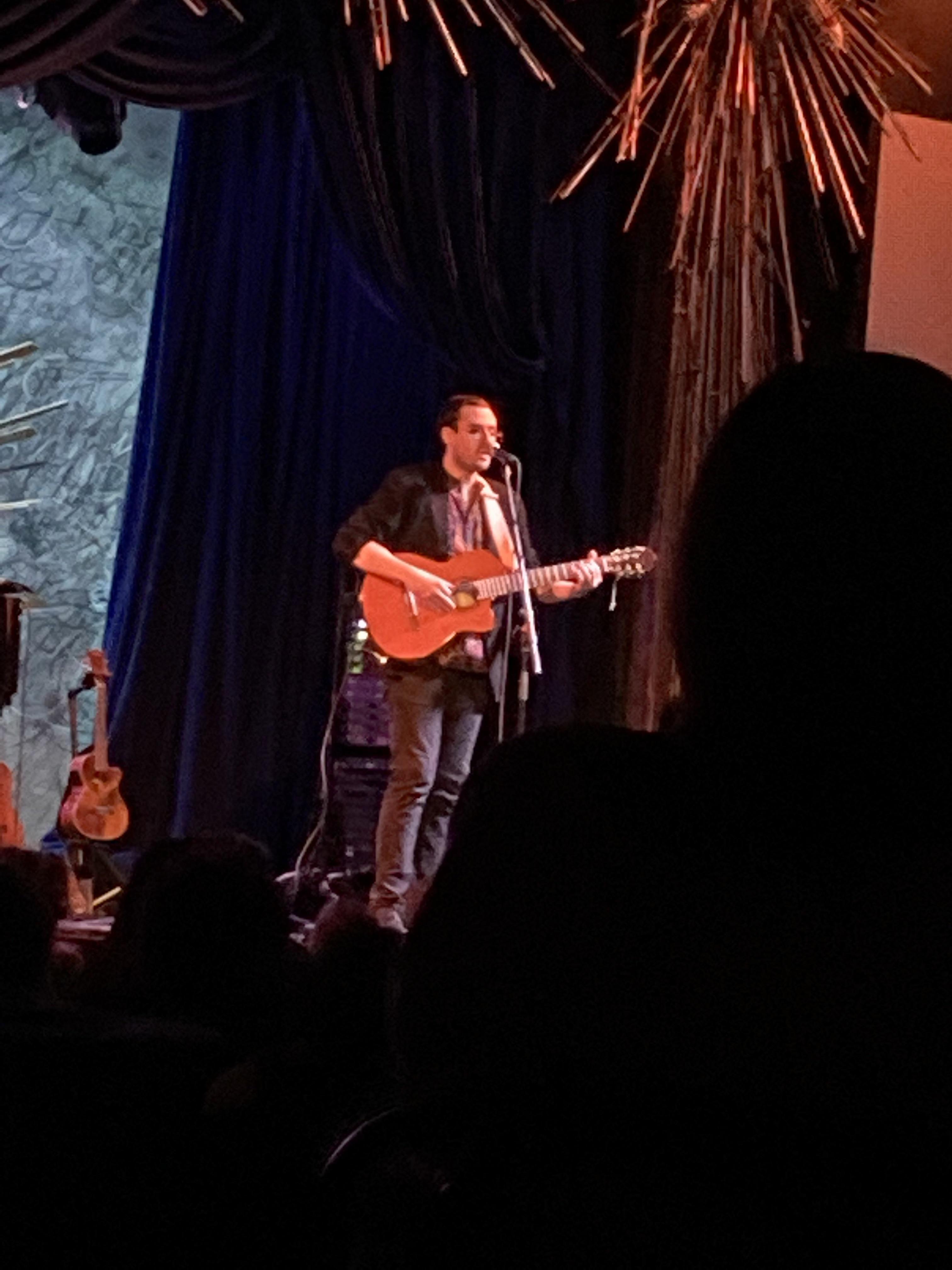 Crowd at a Will Wood show